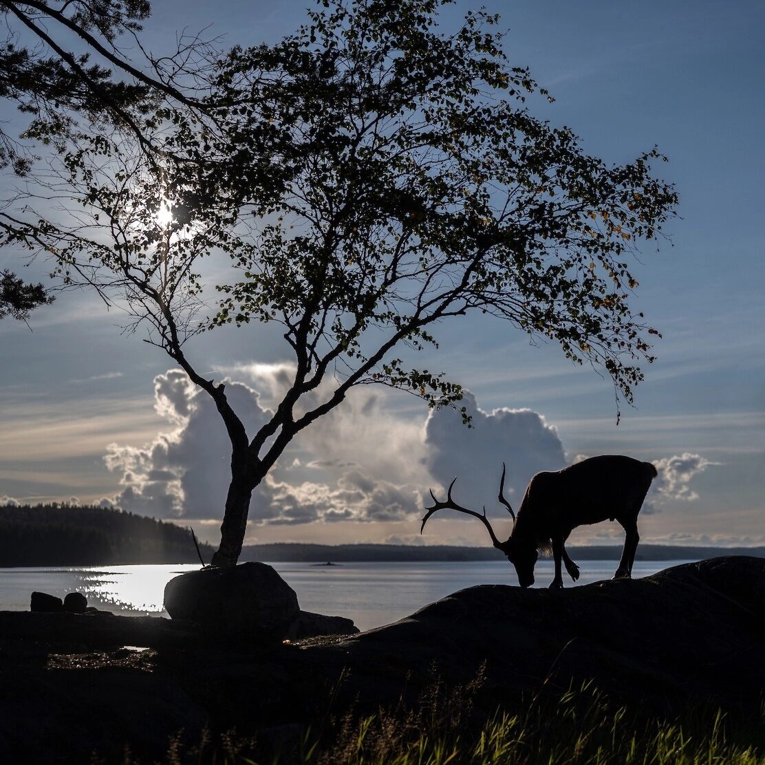 Фото Полярный круг