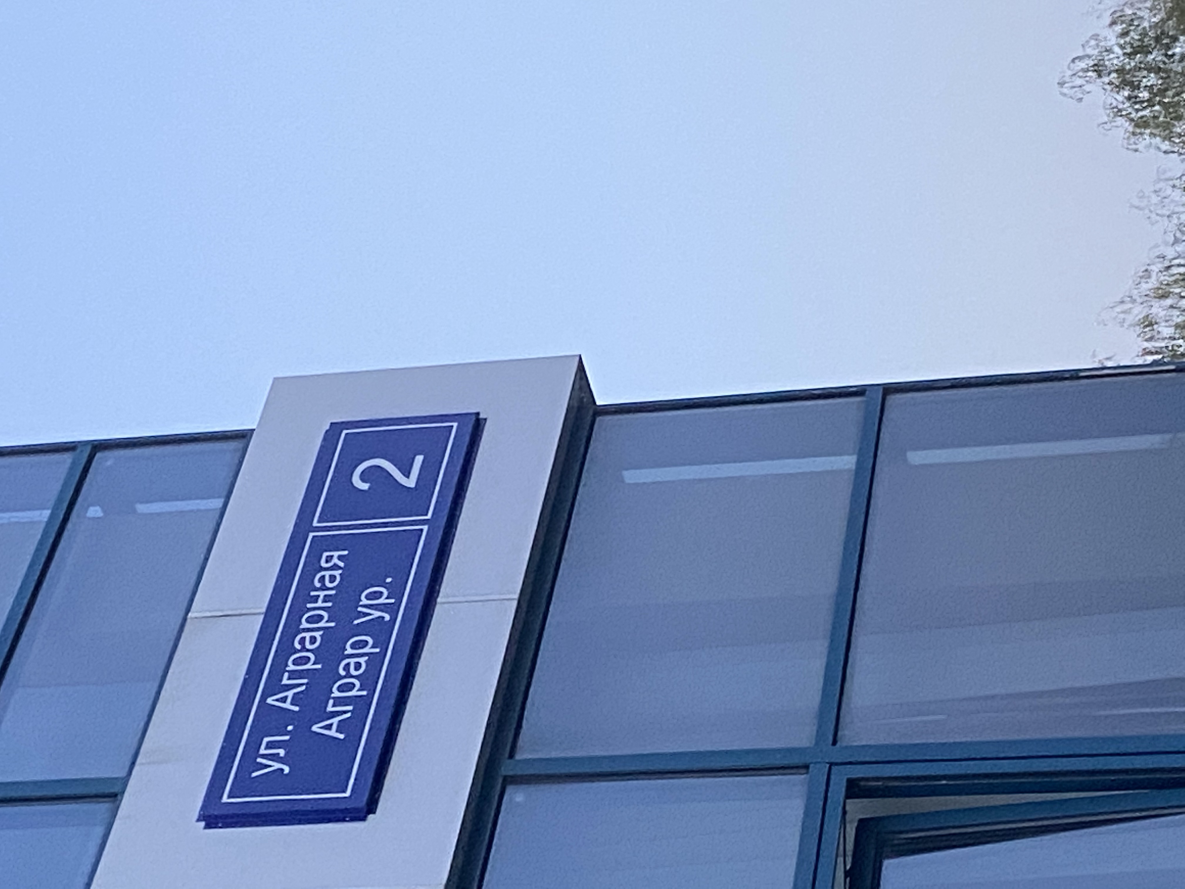 Фото Азалия на Аграрной