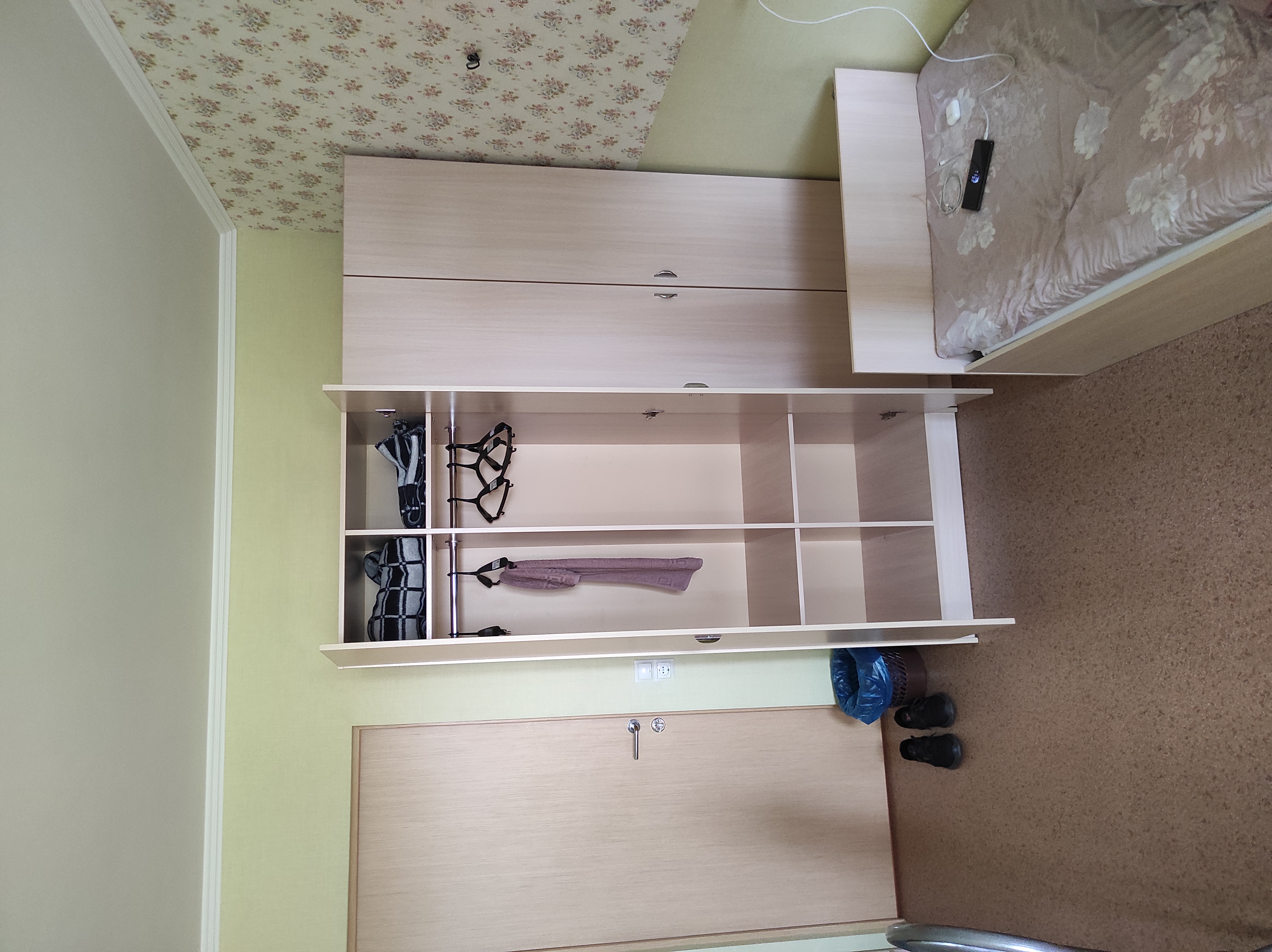 Фото Берёзка