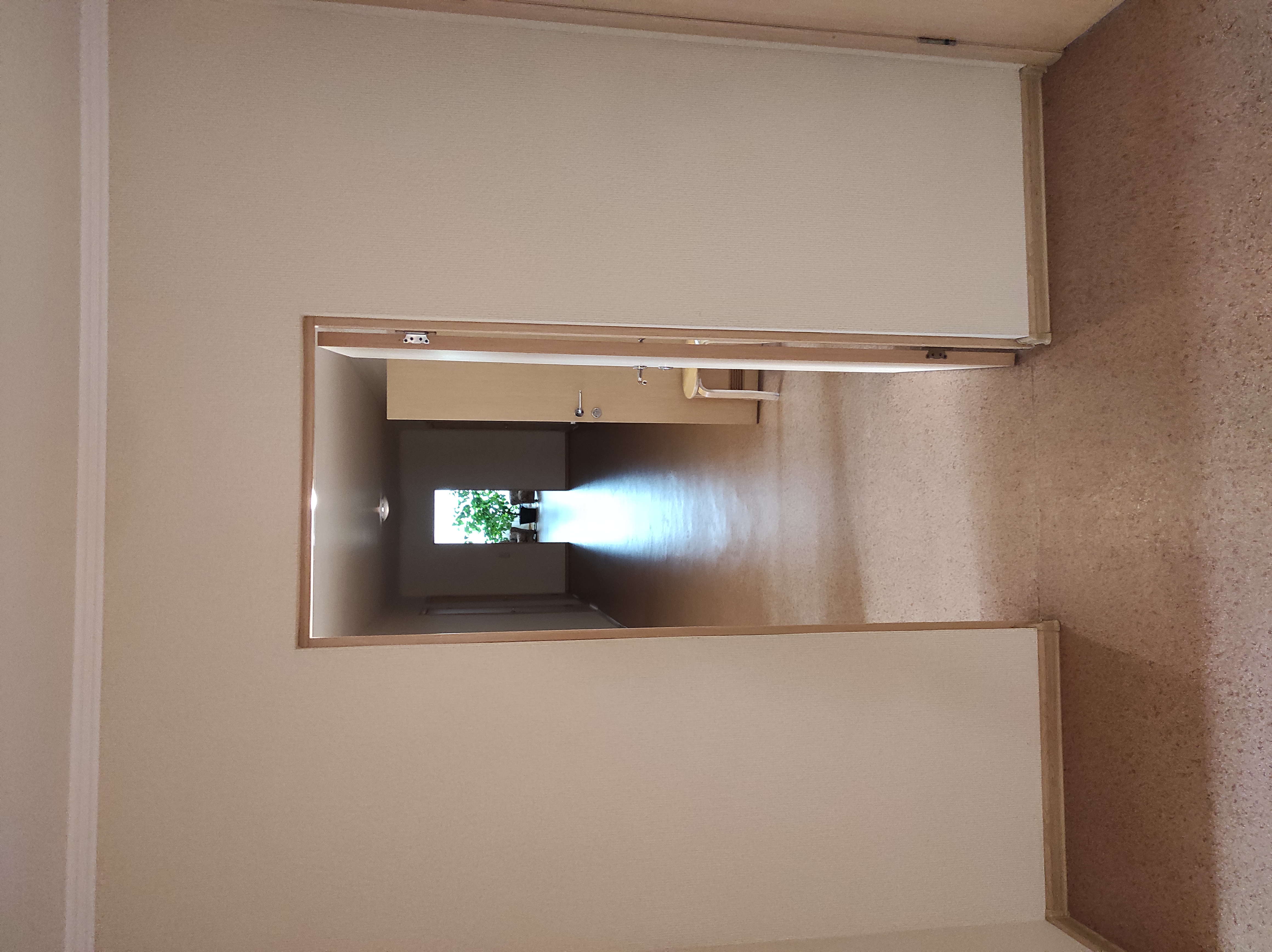 Фото Берёзка