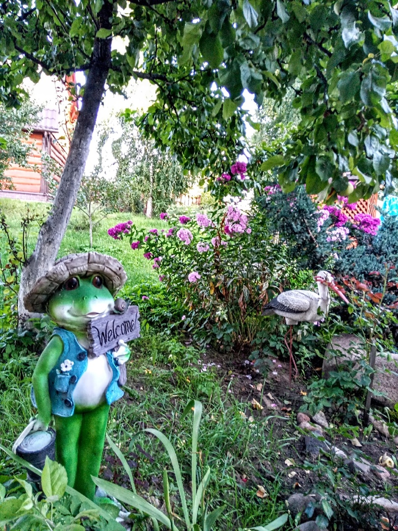 Фото Берёзка