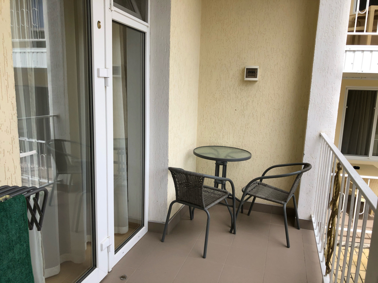 Фото Фламинго