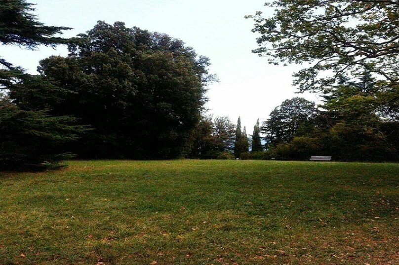 Фото Дом в парке