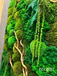 Ecosist (ulitsa Pogodina, 45), paisajismo de locales