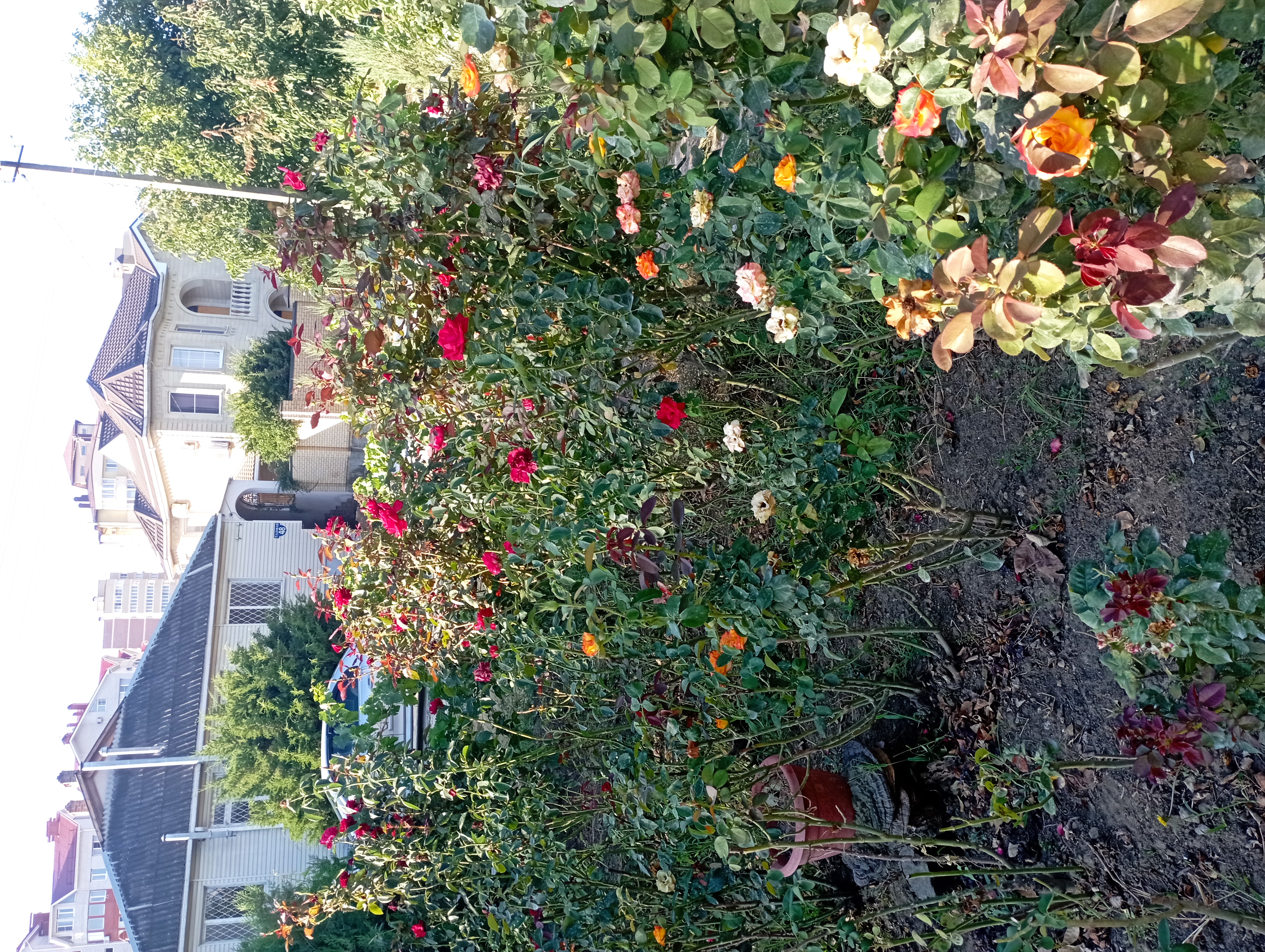 Фото Оливия