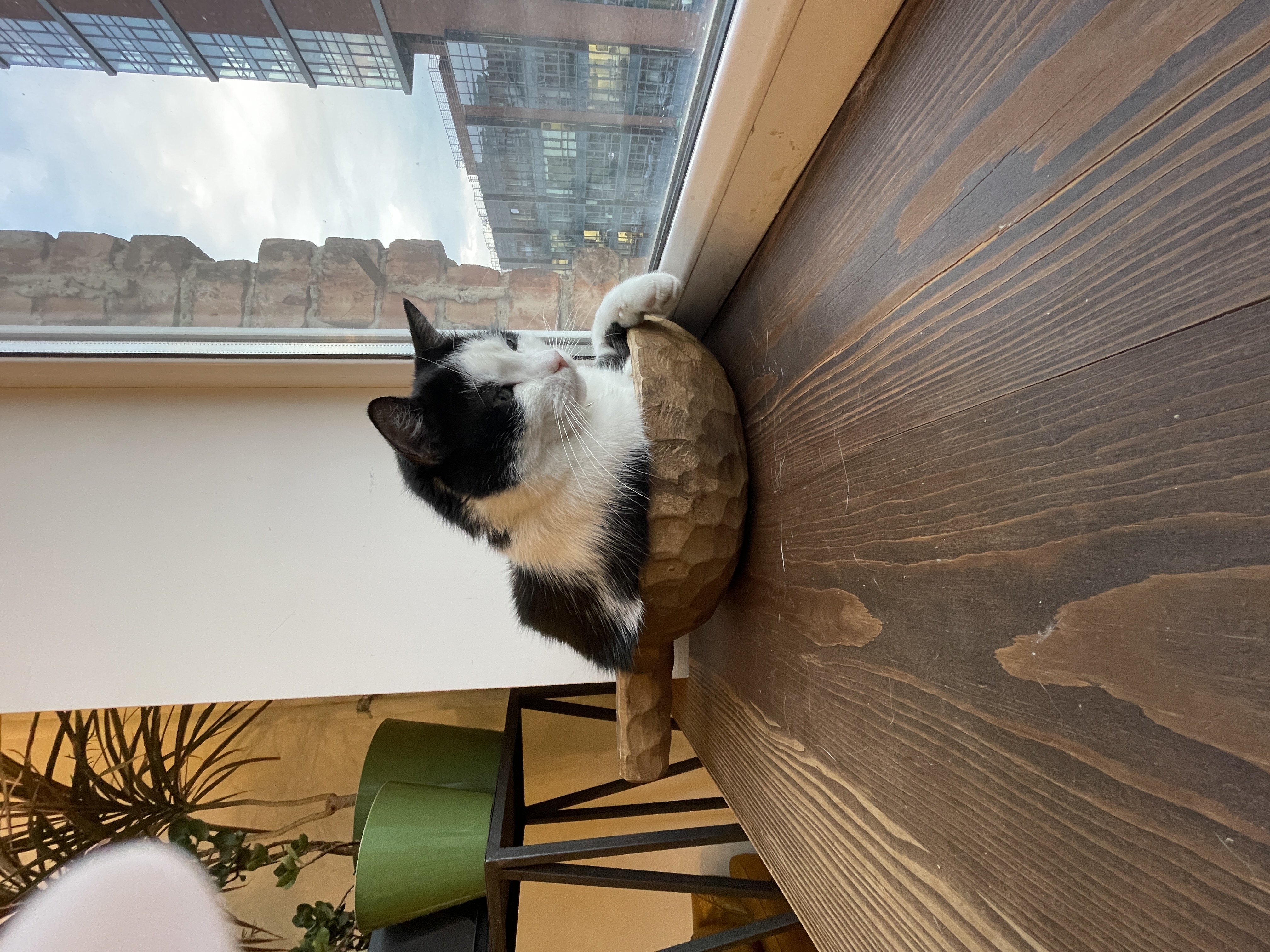 Фото Фабрика