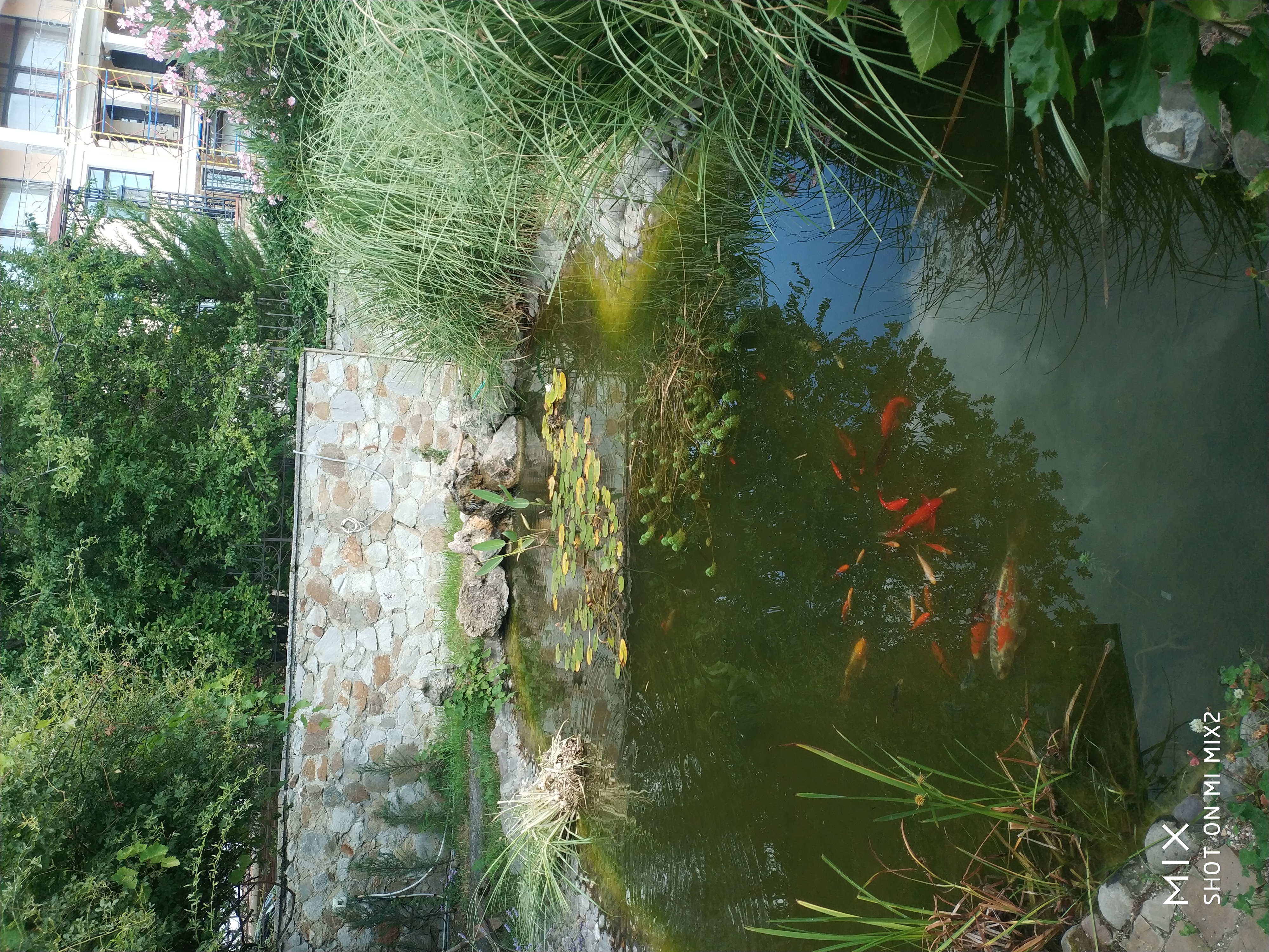 Фото Вилла Царь