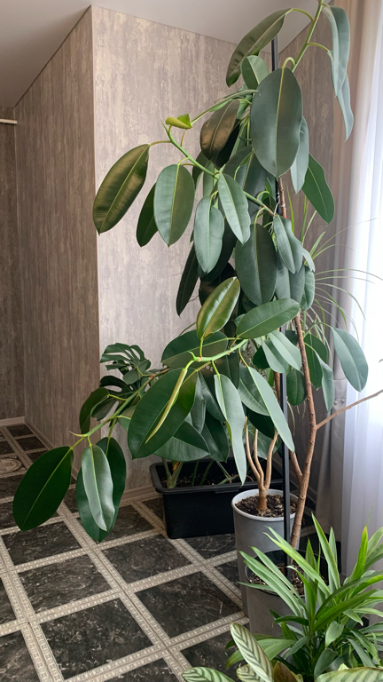 Фото Надежда