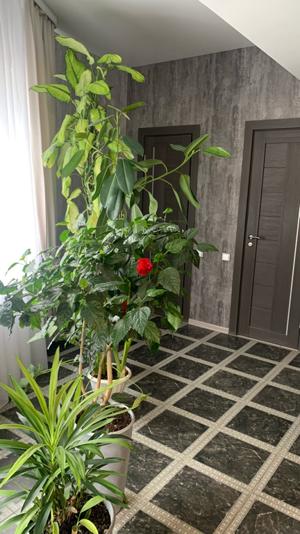 Фото Надежда