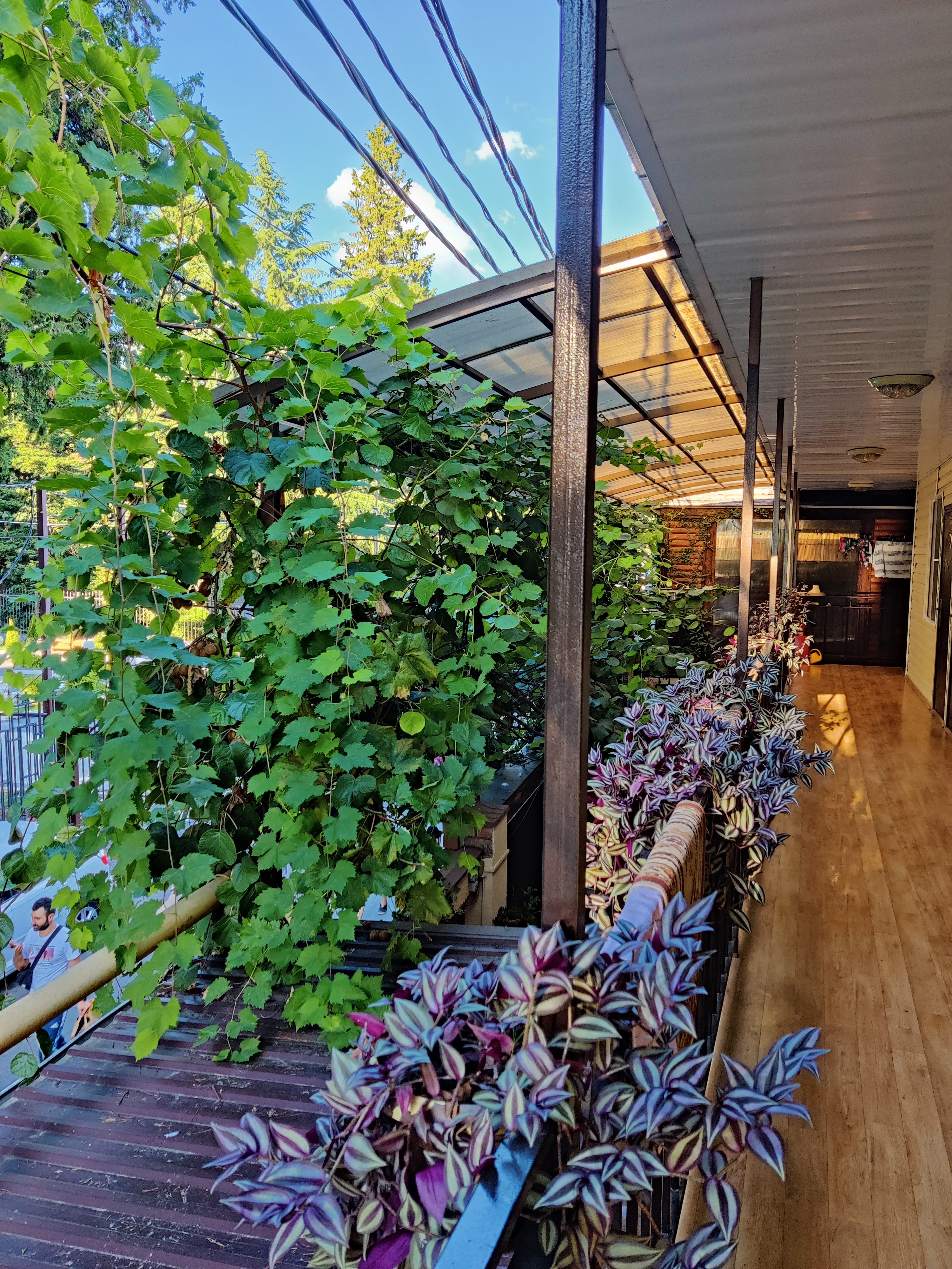 Фото Александра