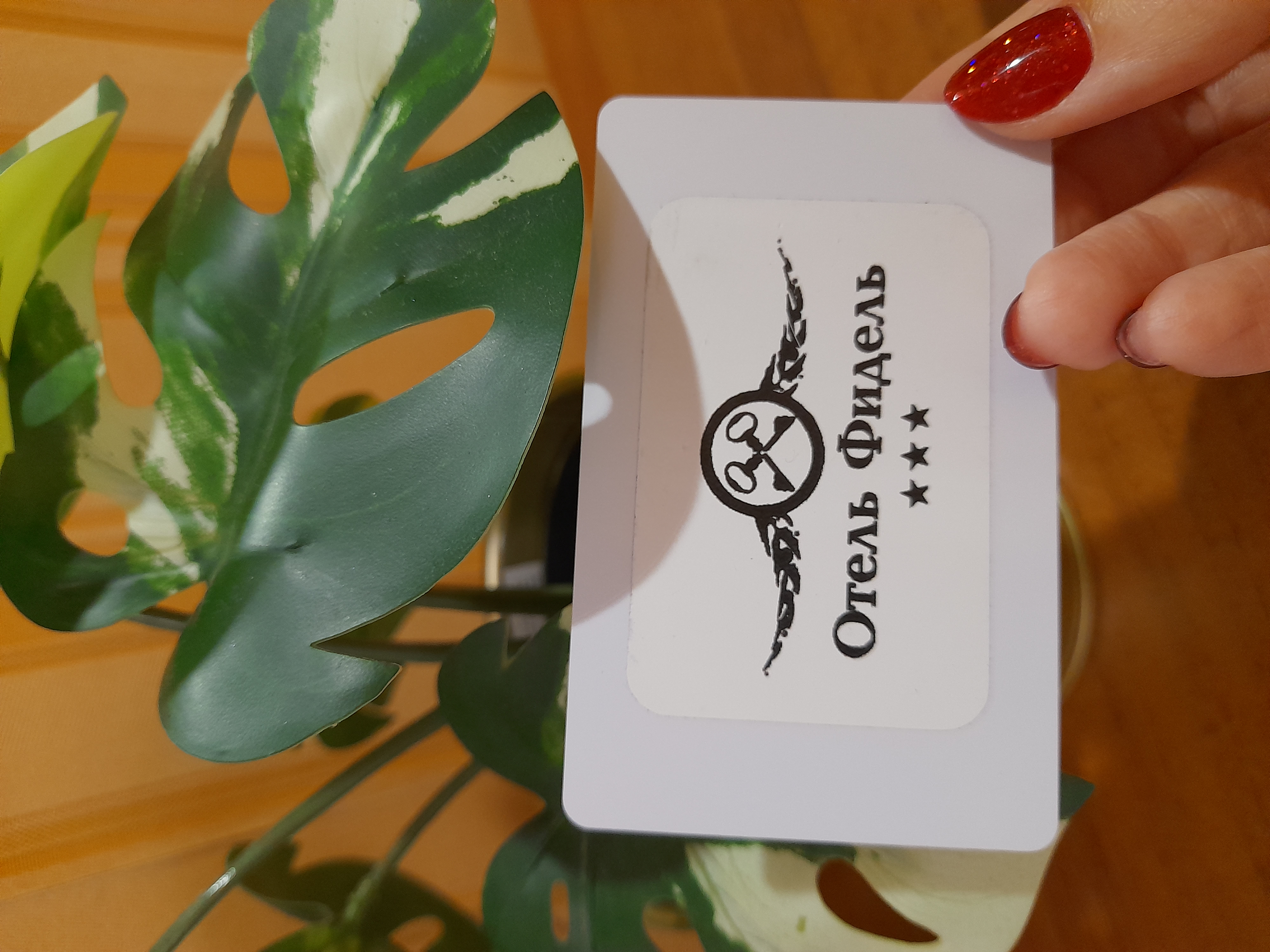 Фото Фидель