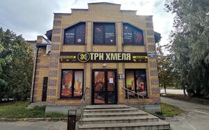 Магазин ТриХмеля (ulitsa Mayakovskogo, 14А), beer shop