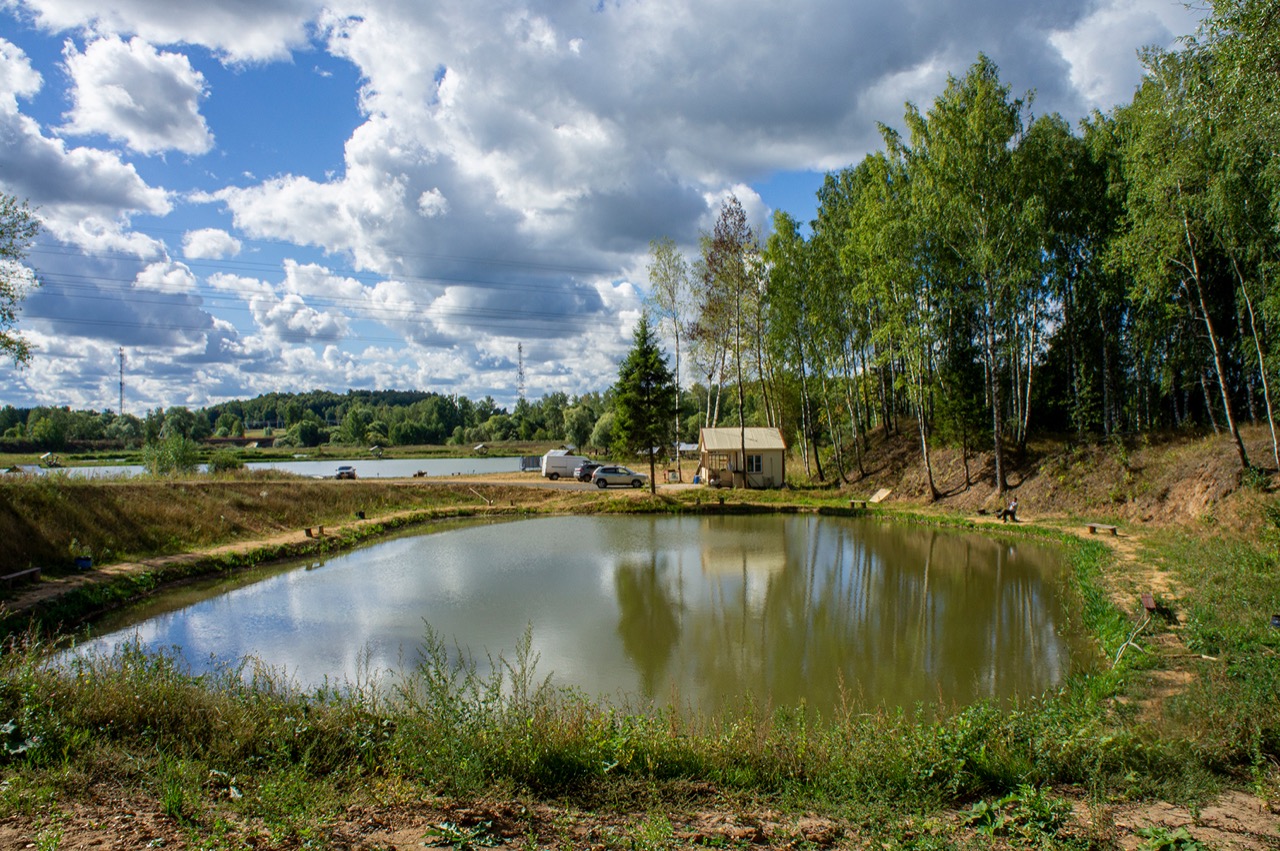 Фото Место клёва