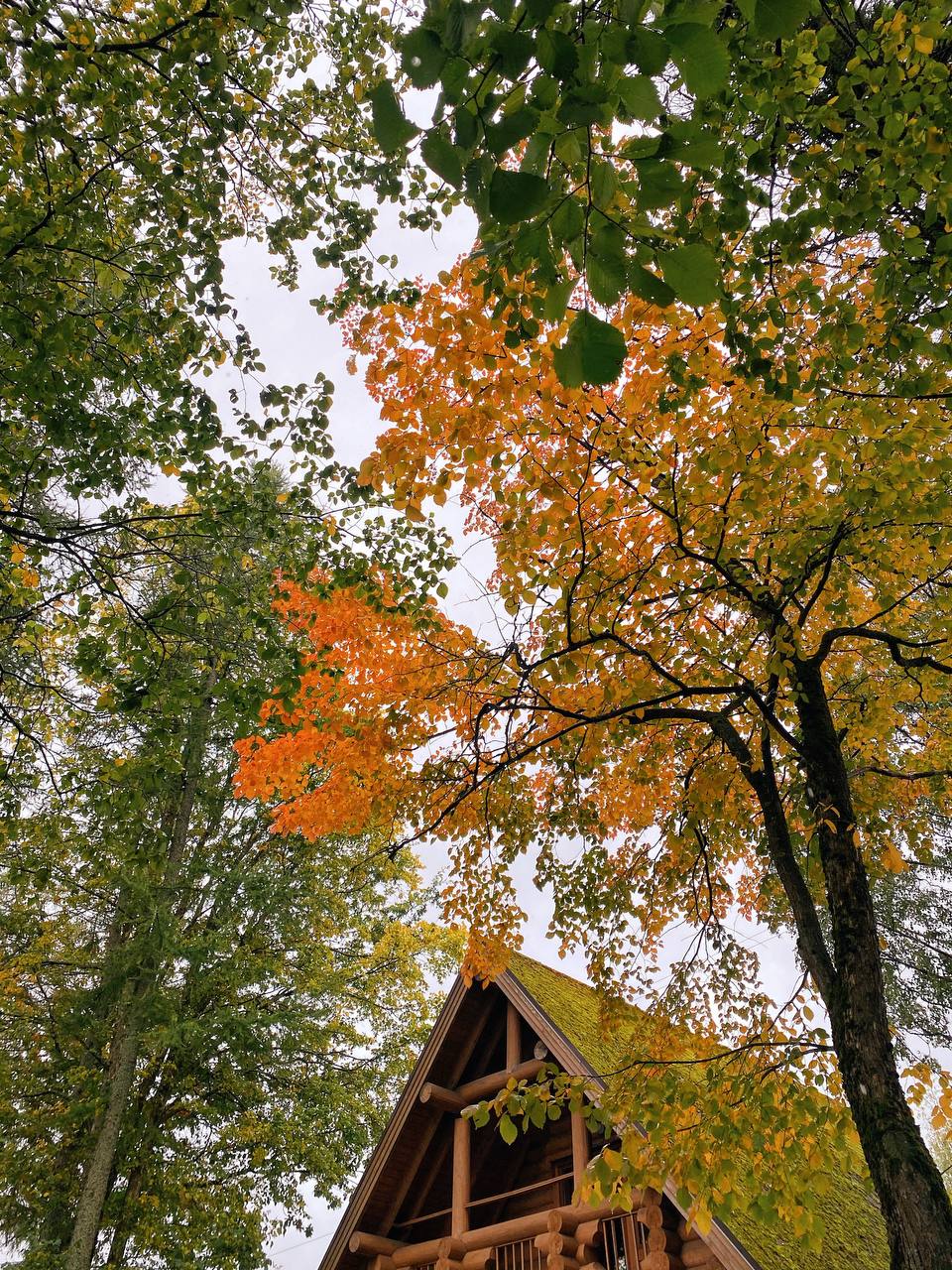 Фото Усадьба Пан Фазан