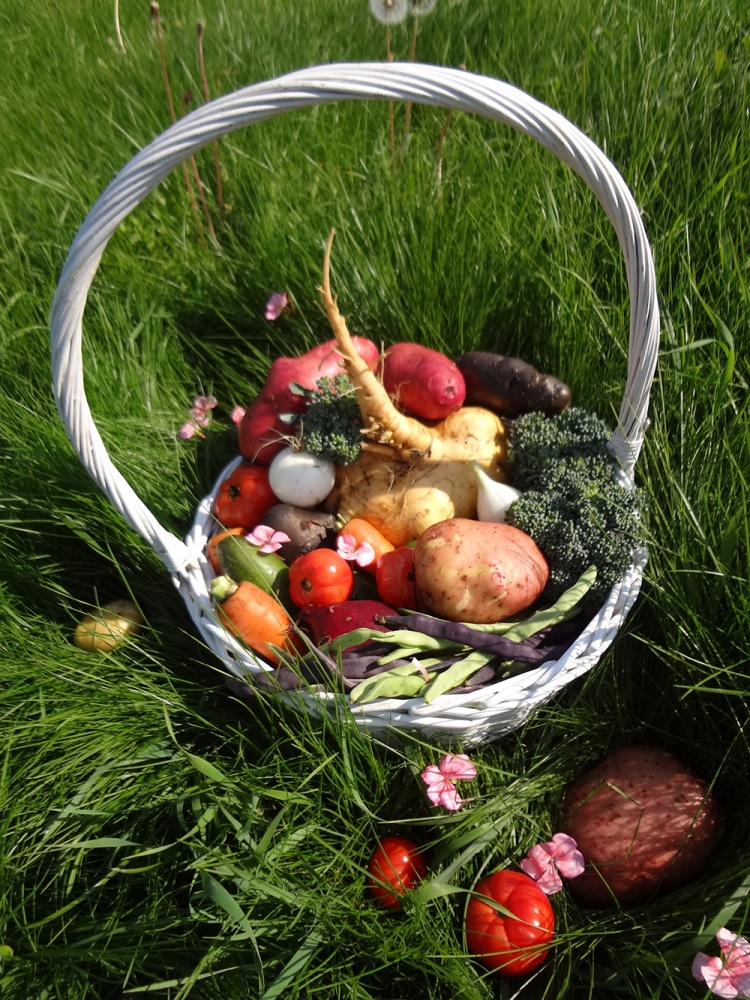 Фото Живое Окунево