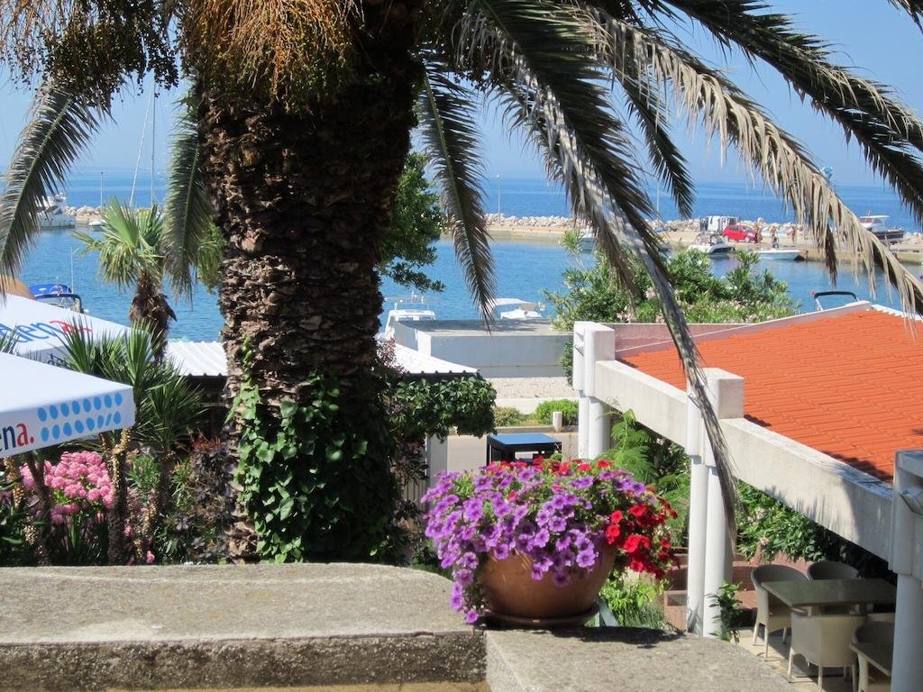 Фото Guesthouse Punta Mira