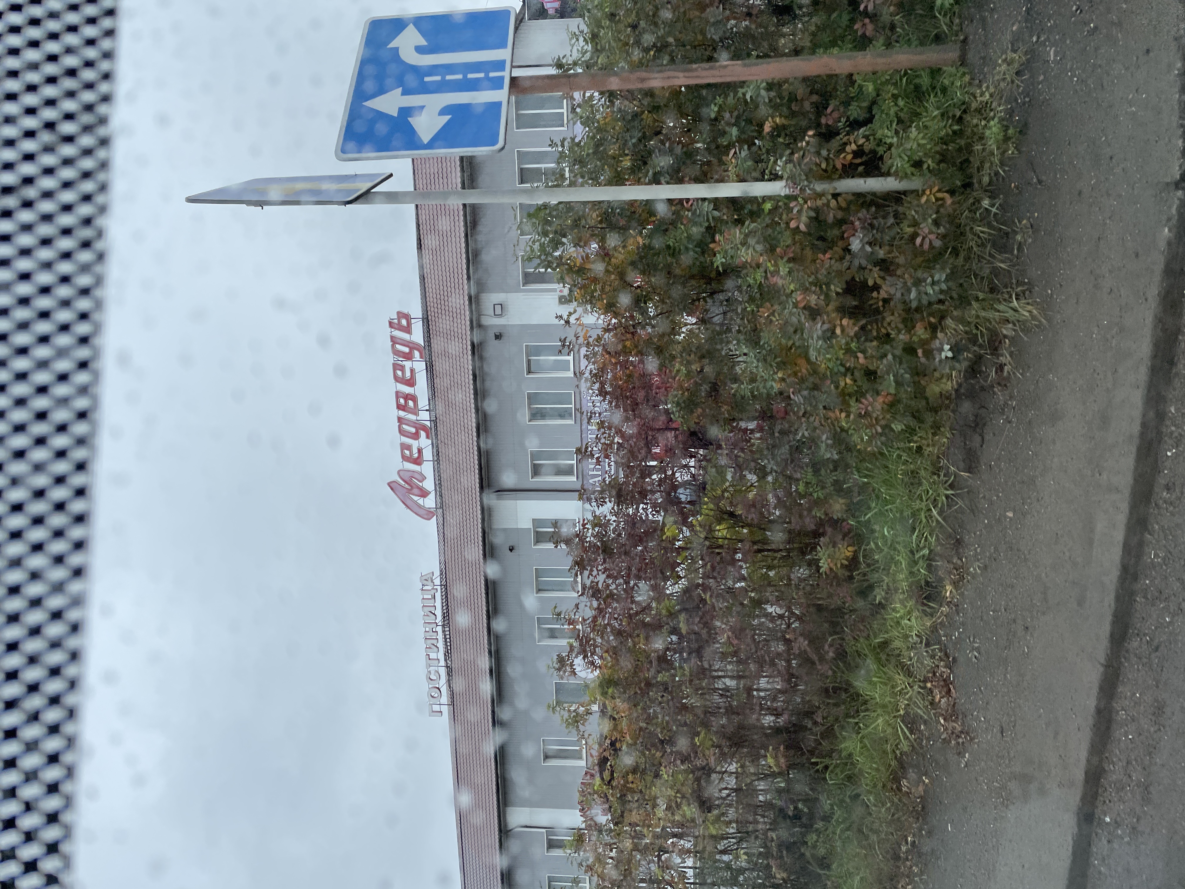 Фото Медведь