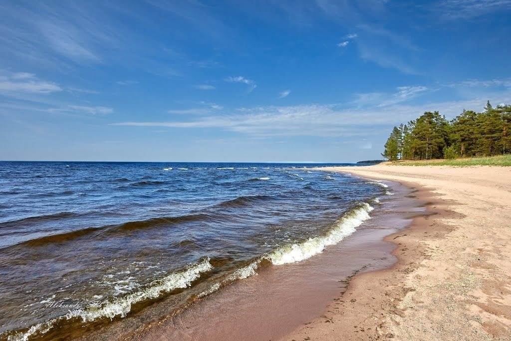 Фото Ладога Хоум