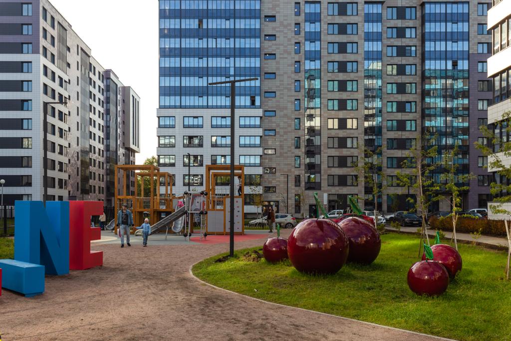 Фото Абрикосовое дерево на Старой деревне