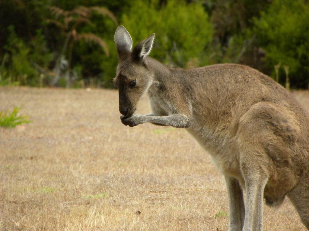 Фото Marima Cottages