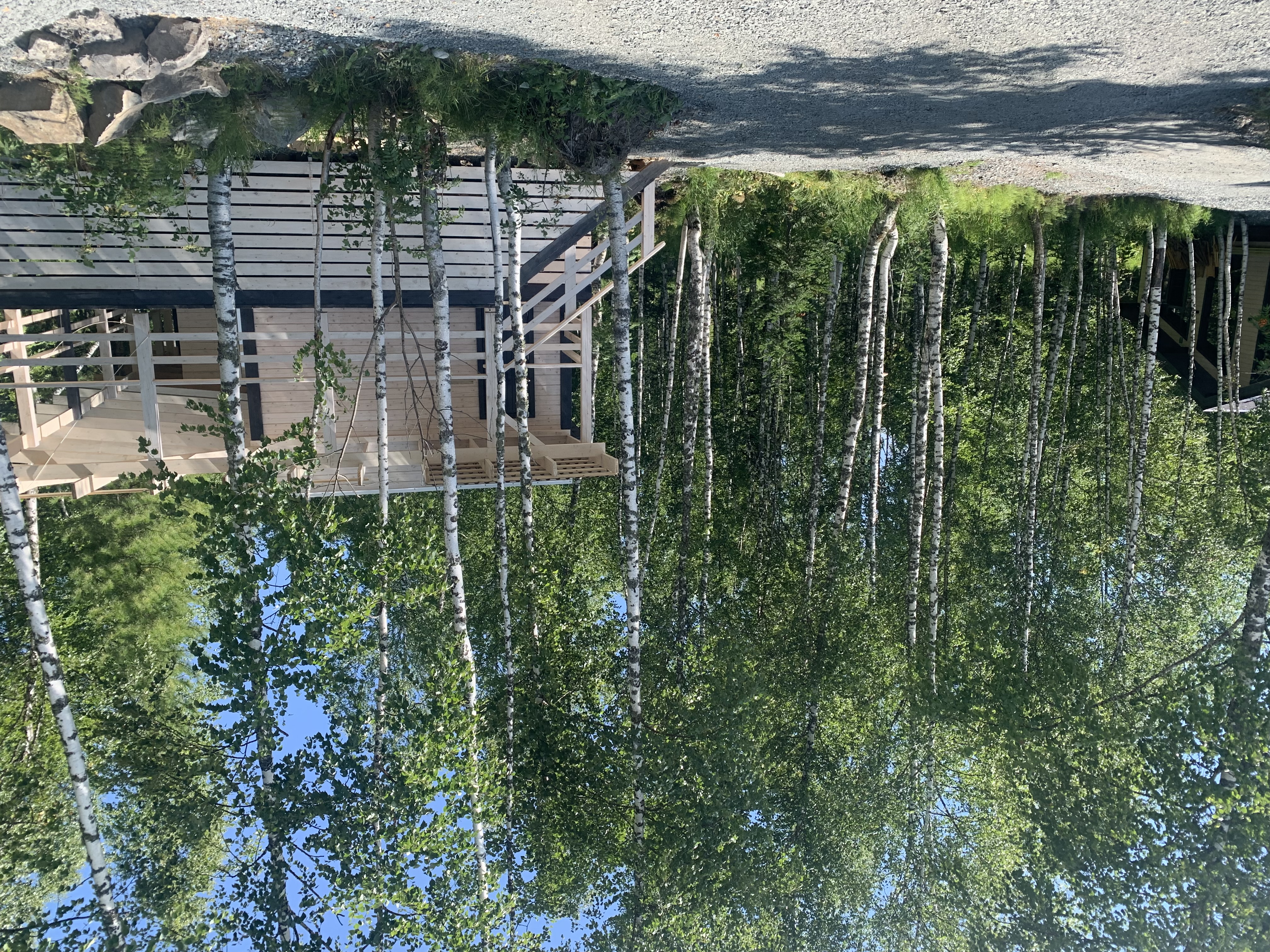 Фото Брусника № 1