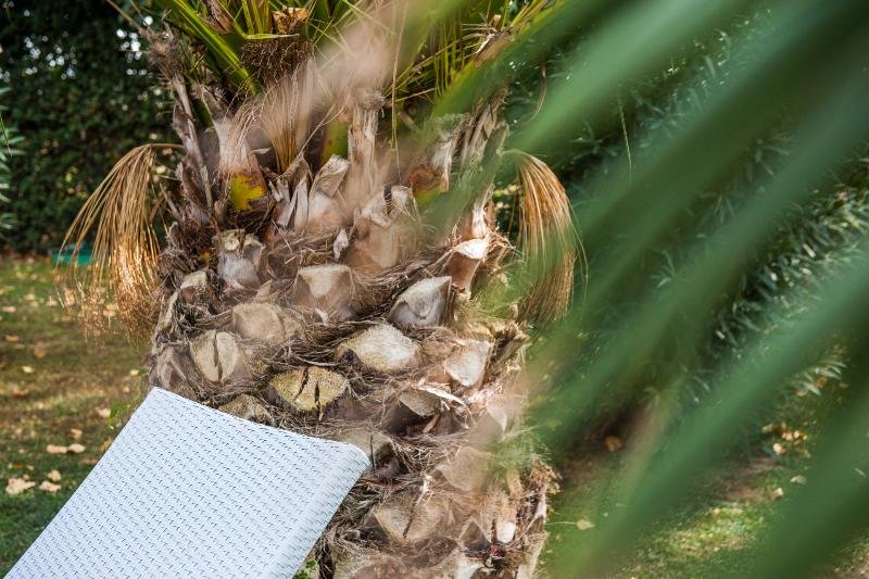 Фото Fattoria San Lorenzo - Apartments