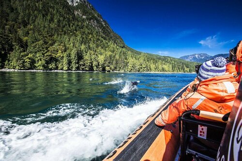 Гостиница Painter's Lodge в Кэмпбелл-Ривер