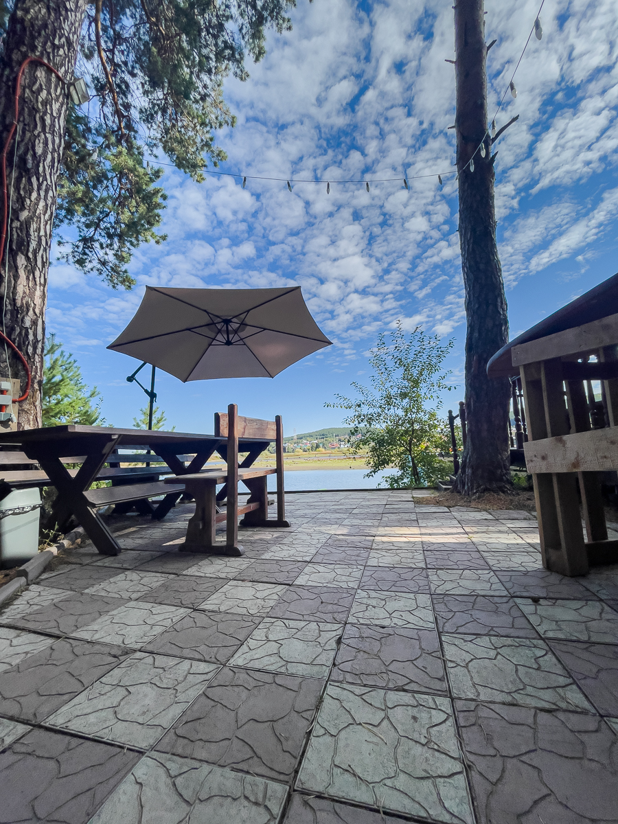 Фото Дача в соснах