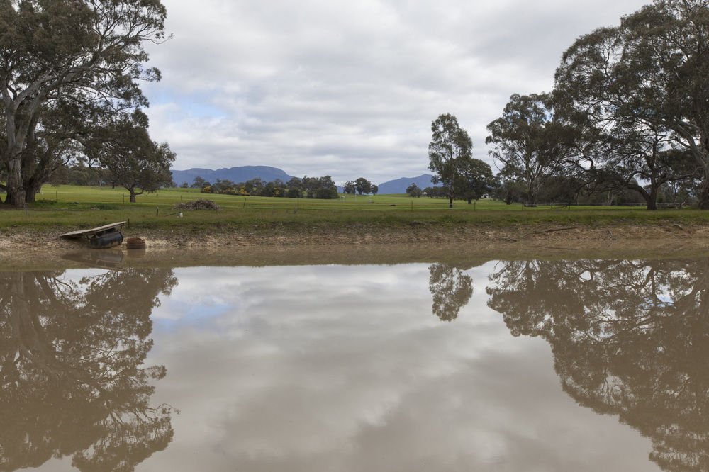 Фото The Apartment