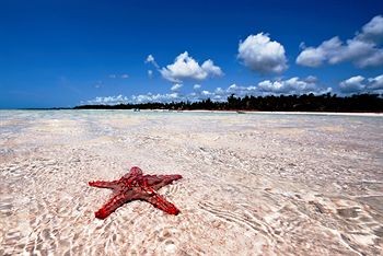 Фото Neptune Paradise Beach Resort & SPA