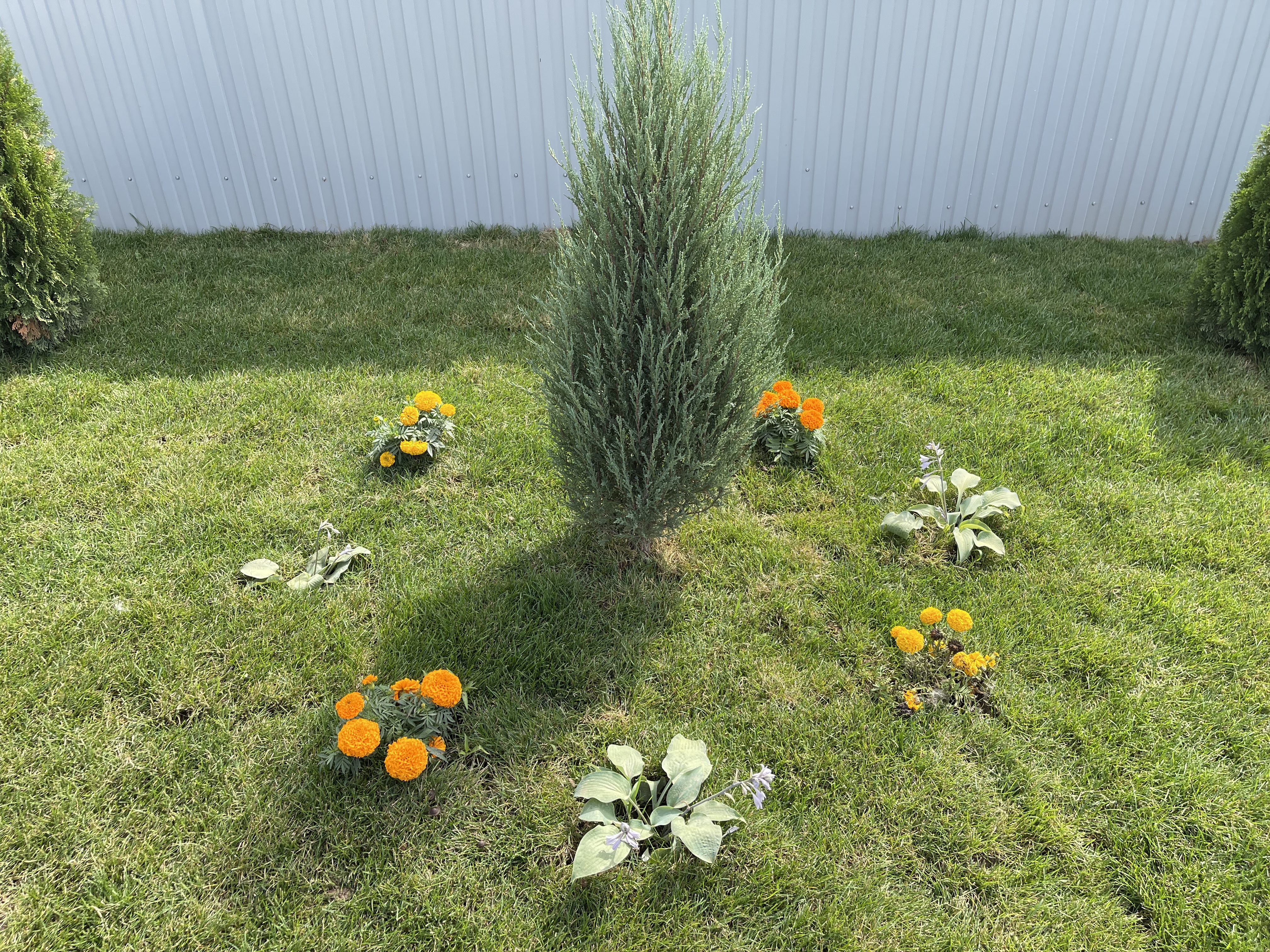 Фото Защепино