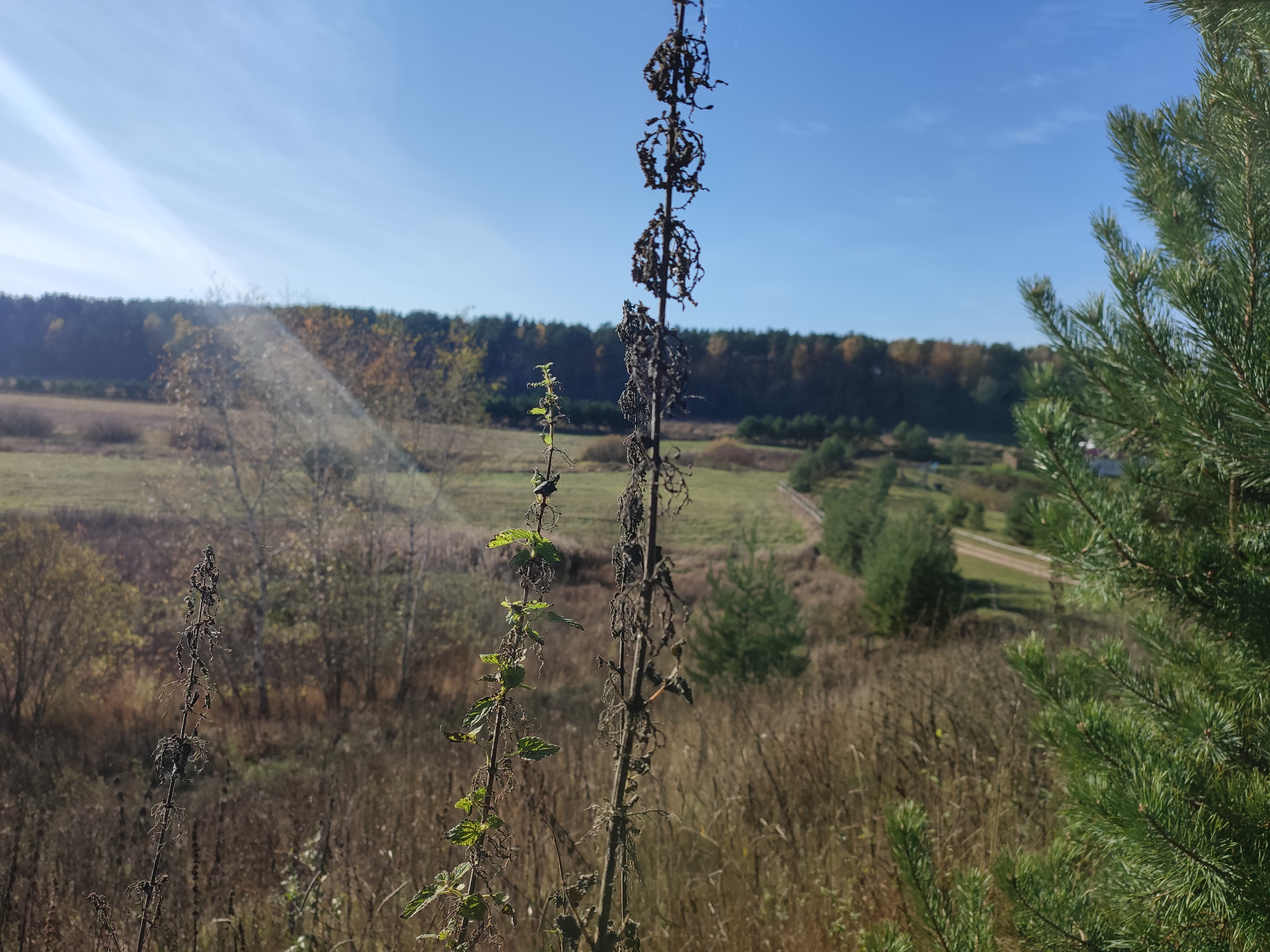 Фото Босфор в Родне