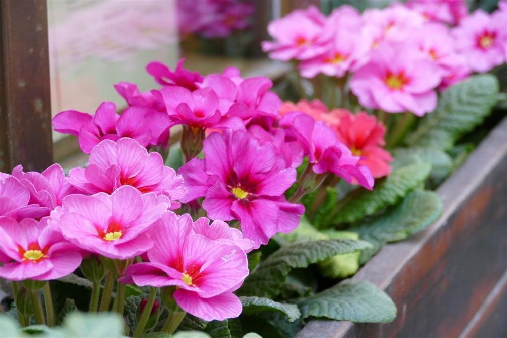 Фото Hotel an der Oper