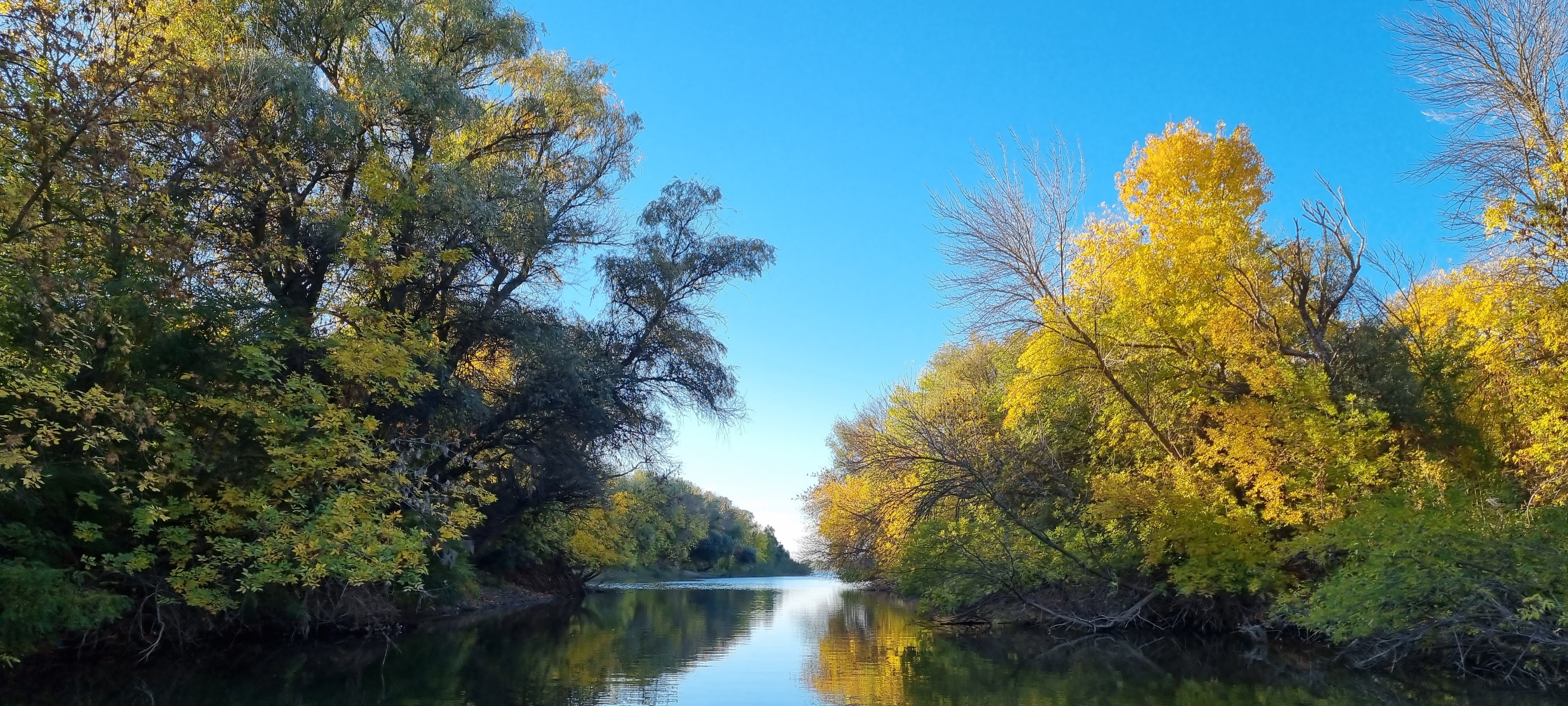 Фото Лесная