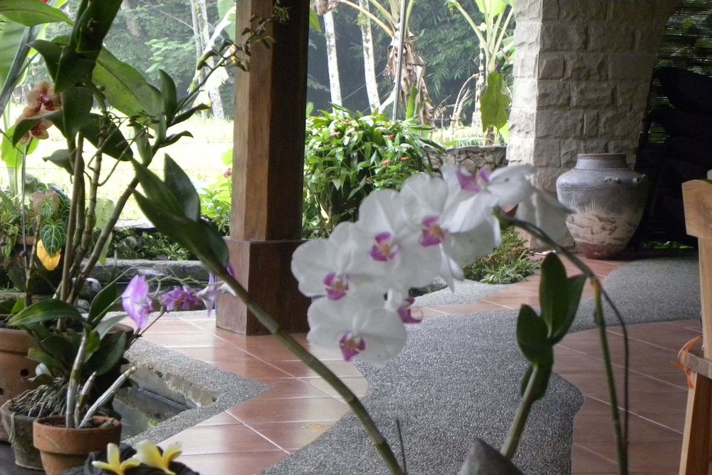 Фото Saudara Home