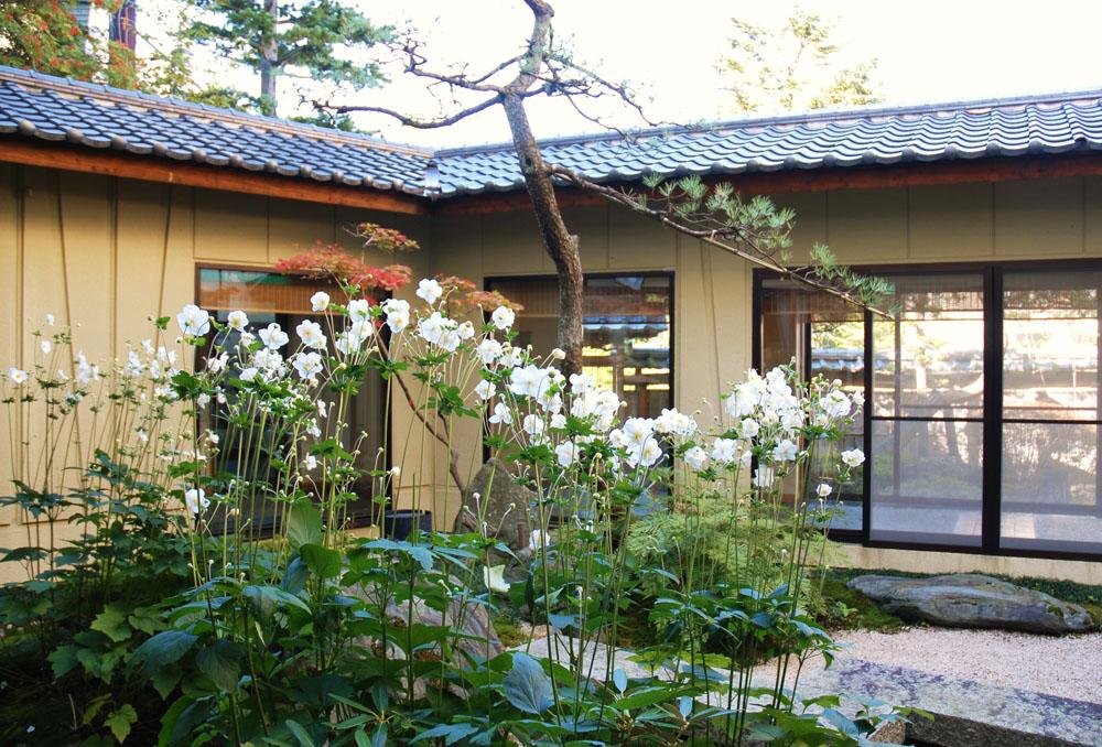 Фото Kanemidori