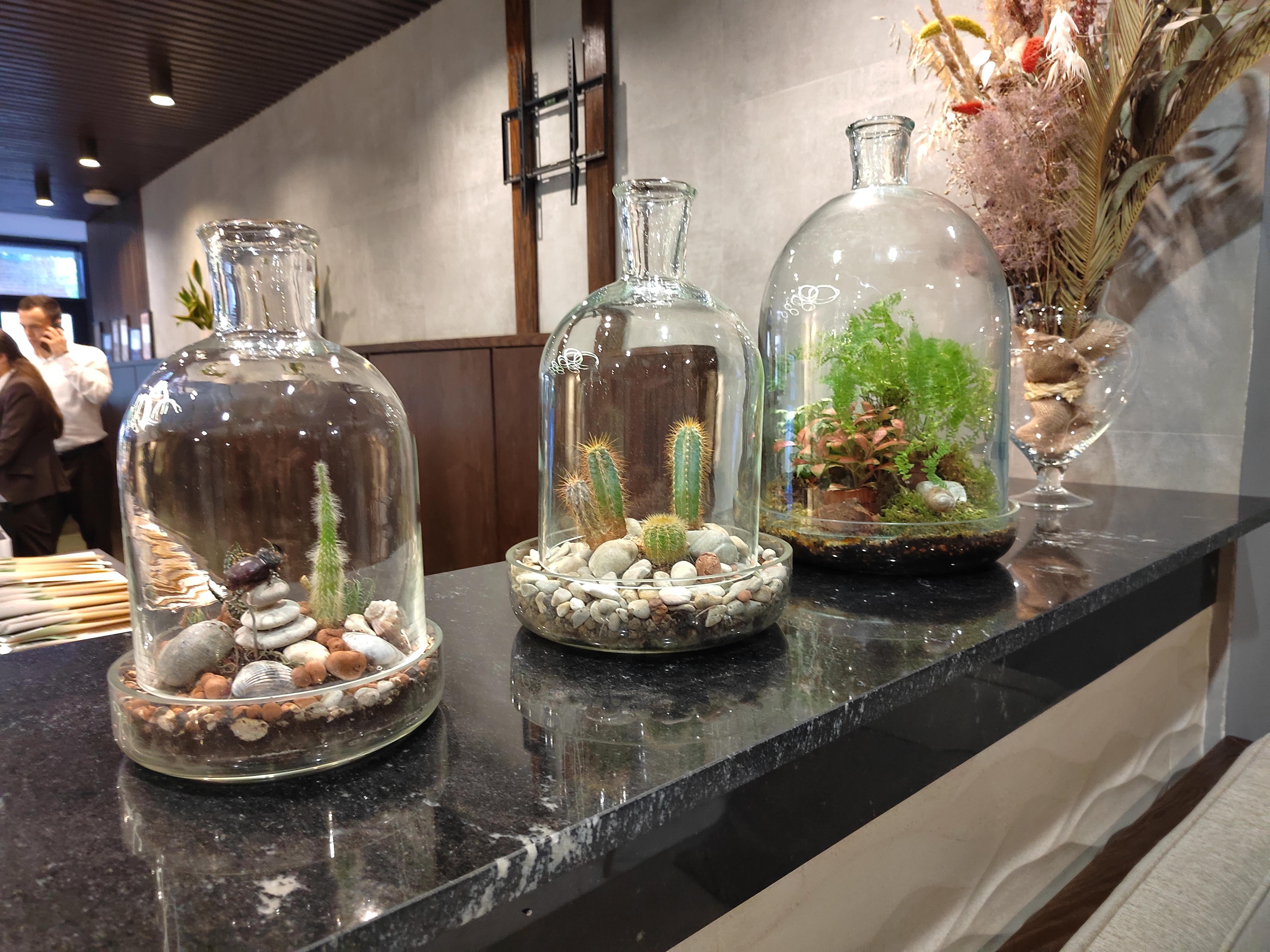 Фото Green Resort