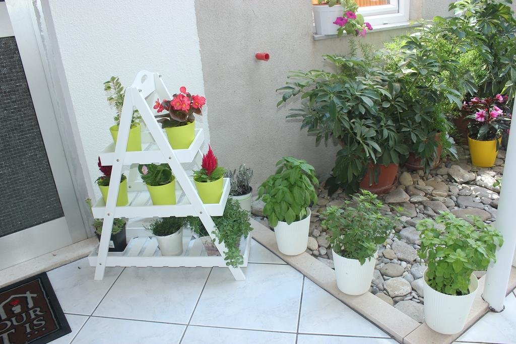 Фото Villa Barbara