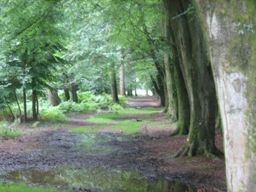 Фото Cottage Lodge Hotel