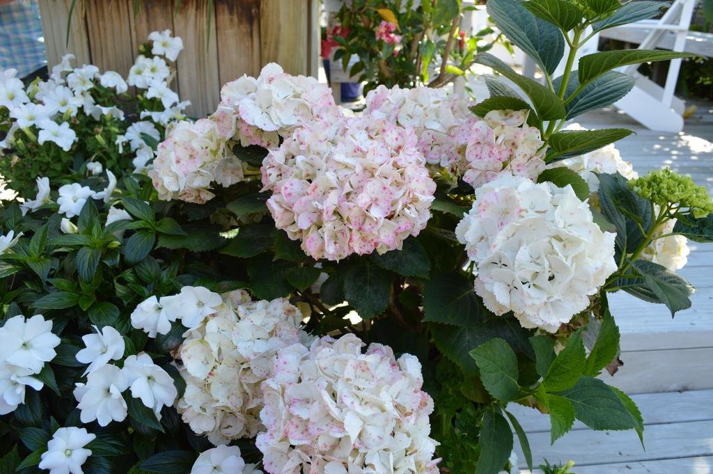 Фото Terry and Cindy's Bed and Breakfast