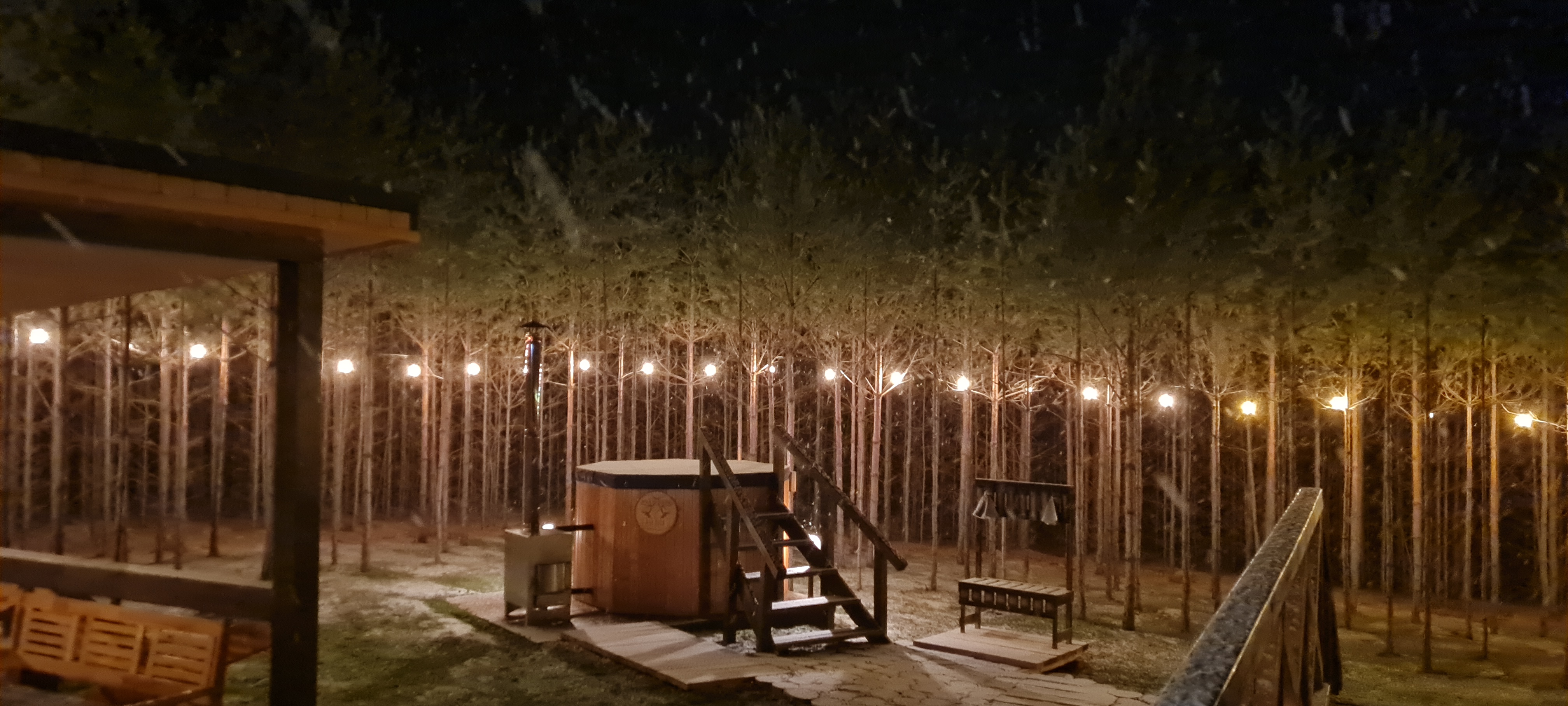 Фото Два Лося