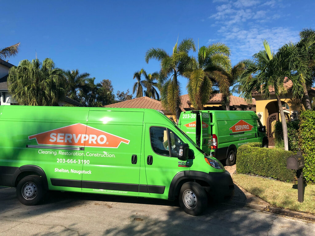 Carpet cleaning Servpro of Shelton, Naugatuck, State of Connecticut, photo