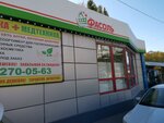 Фасоль (Zapadniy Microdistrict, Trista Tridtsat Devyatoy Strelkovoy Divizii Street, 16), grocery