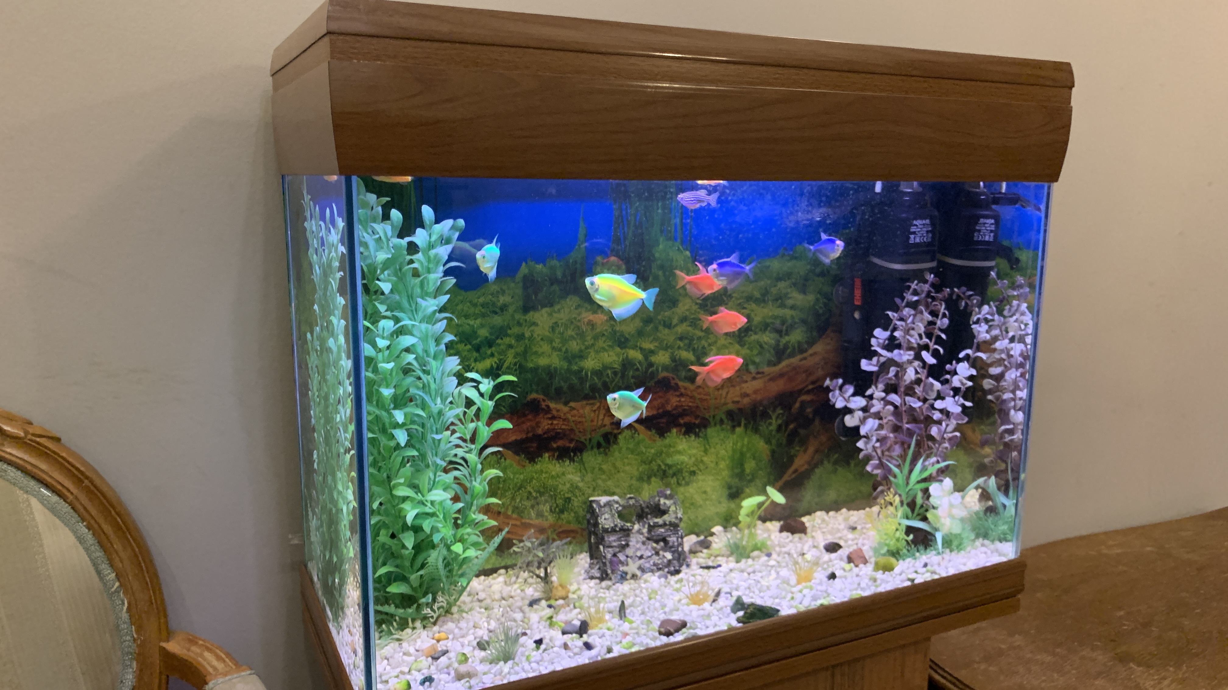 Фото Талисман