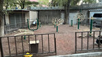 Playground (Saryan Street, 35), playground