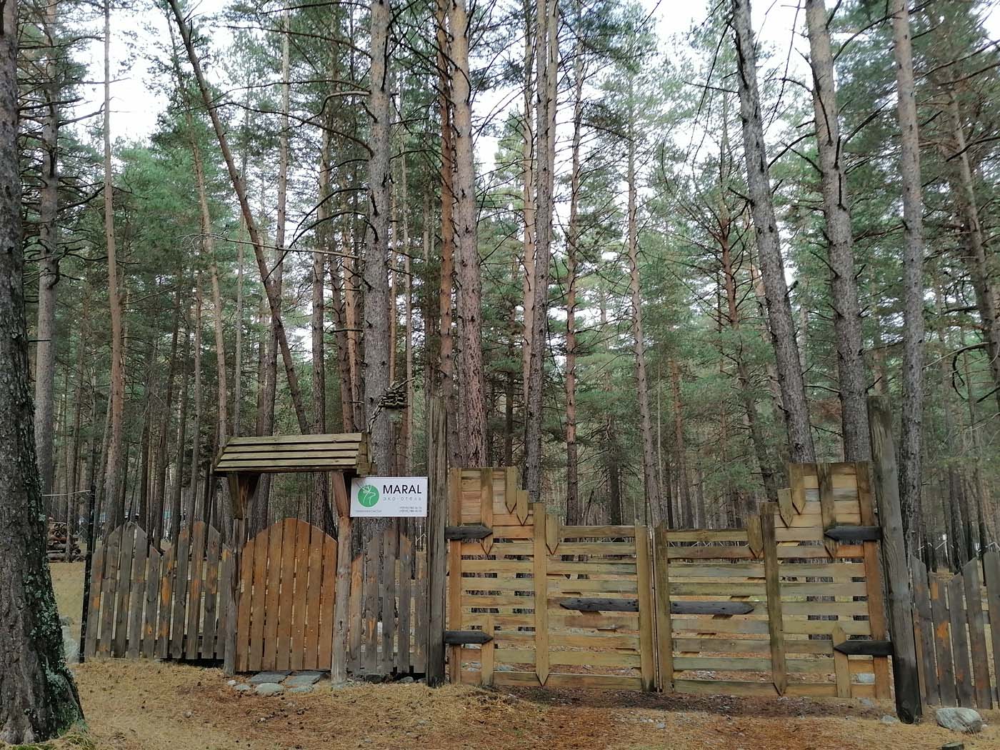 Фото Эльбрус Марал