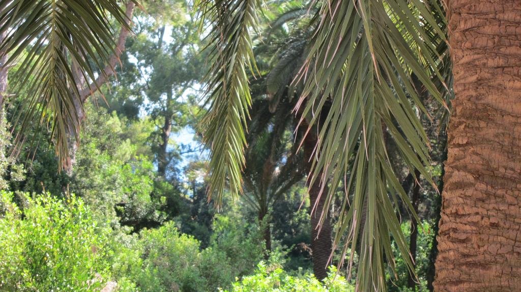 Фото B&b Capo Pero