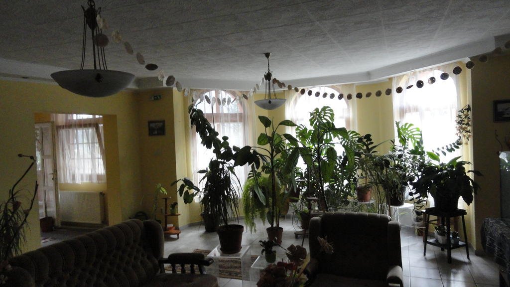 Фото Bocskai Panzio