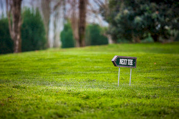 Фото Hotel Splendid