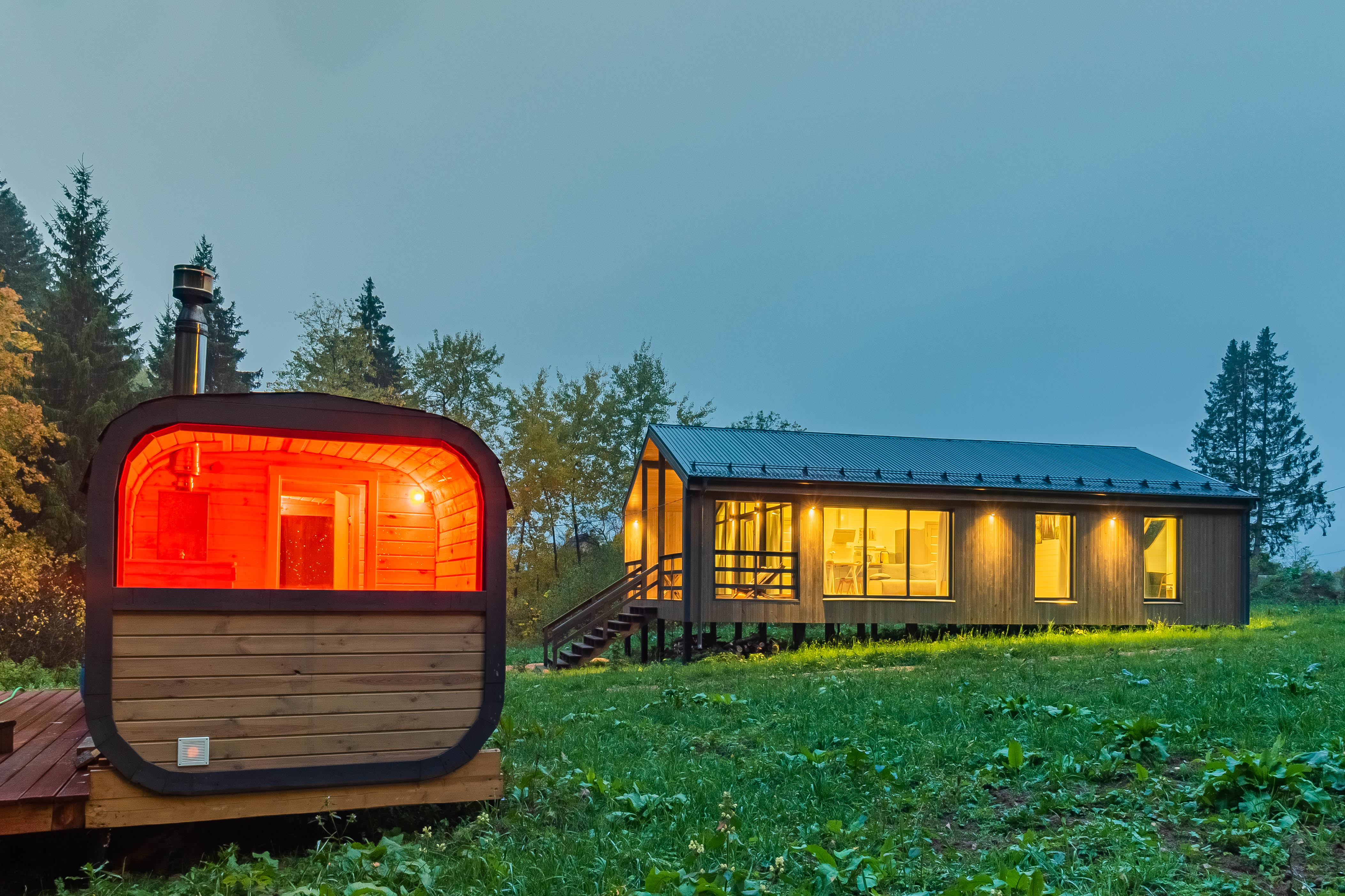 Фото Pine Forest